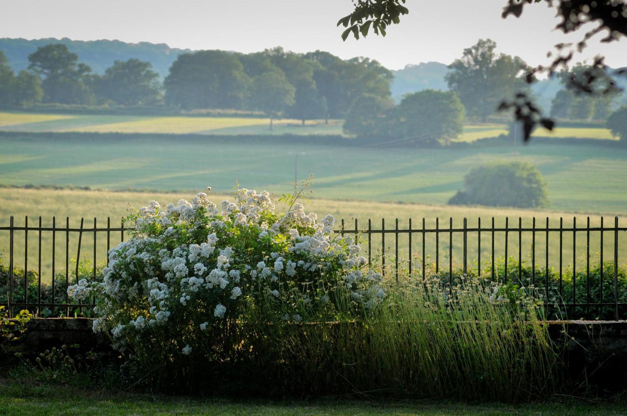 Bed and Breakfast Le Manivert Vitry-Lache Exterior foto